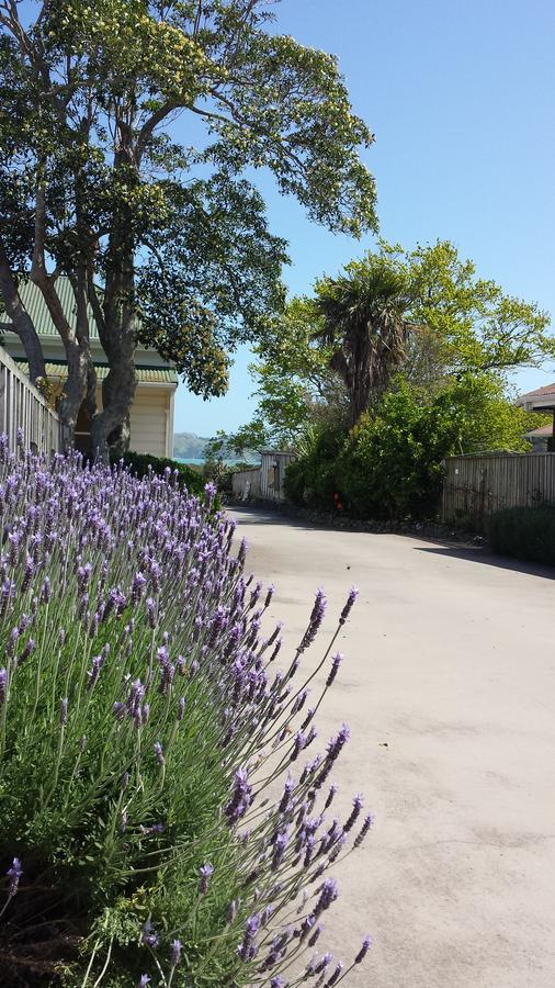 Abbey Court Motel Coromandel Dış mekan fotoğraf